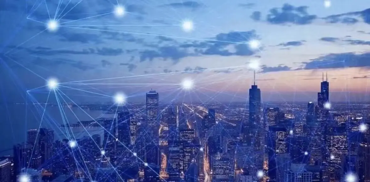 炒货币违反什么法律