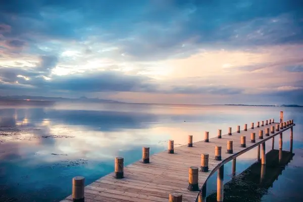 法律辩论买什么书籍