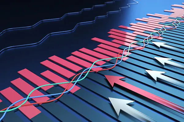 法律的客人指什么