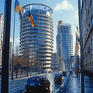 建立法律需要什么条件