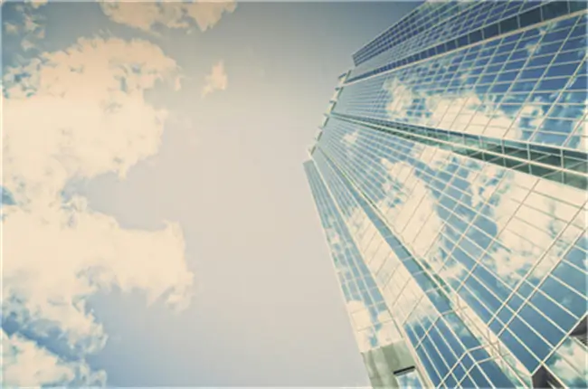 什么叫任意性法律