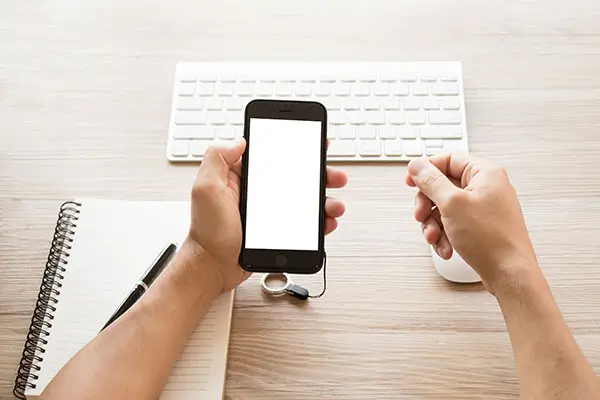 今年法律修改了什么内容